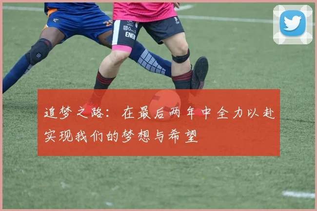 追梦之路：在最后两年中全力以赴实现我们的梦想与希望