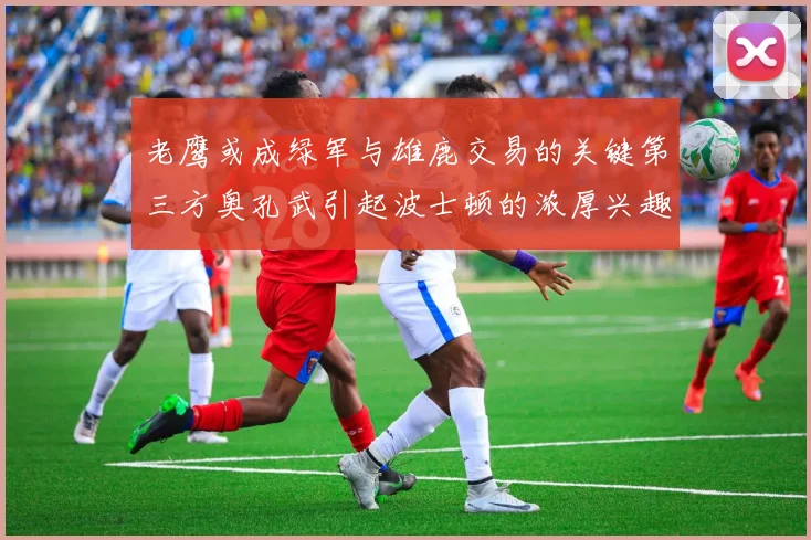 老鹰或成绿军与雄鹿交易的关键第三方奥孔武引起波士顿的浓厚兴趣