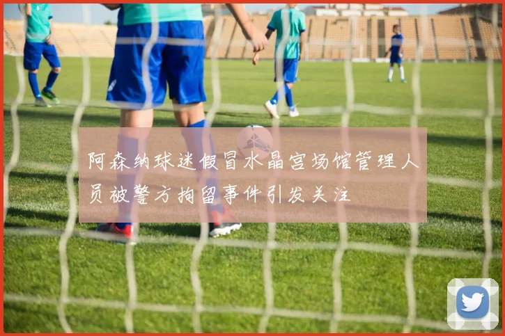 阿森纳球迷假冒水晶宫场馆管理人员被警方拘留事件引发关注
