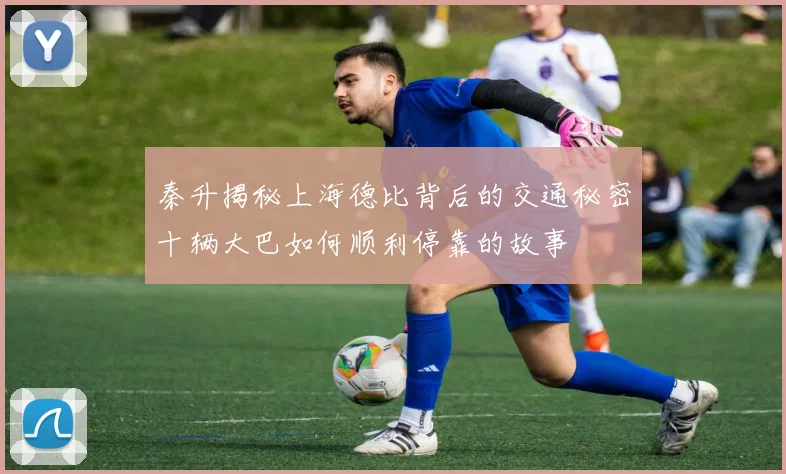 秦升揭秘上海德比背后的交通秘密十辆大巴如何顺利停靠的故事