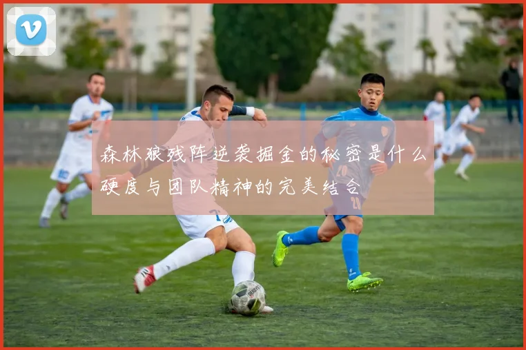 森林狼残阵逆袭掘金的秘密是什么硬度与团队精神的完美结合